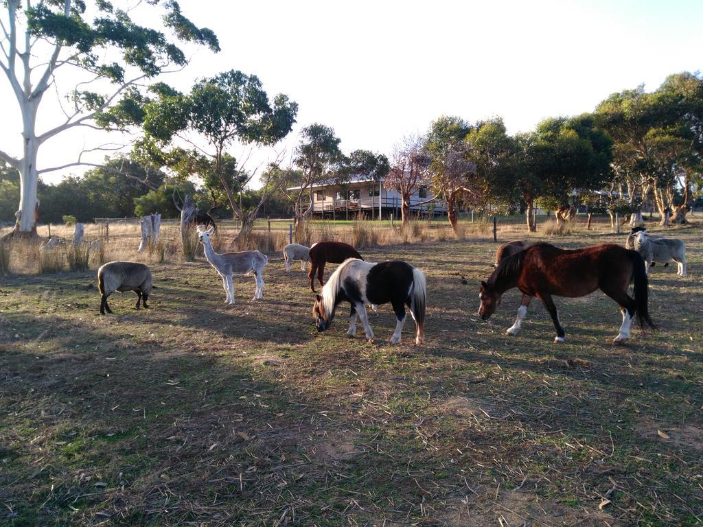 Heartland Hideaway Βίλα Vivonne Bay Εξωτερικό φωτογραφία